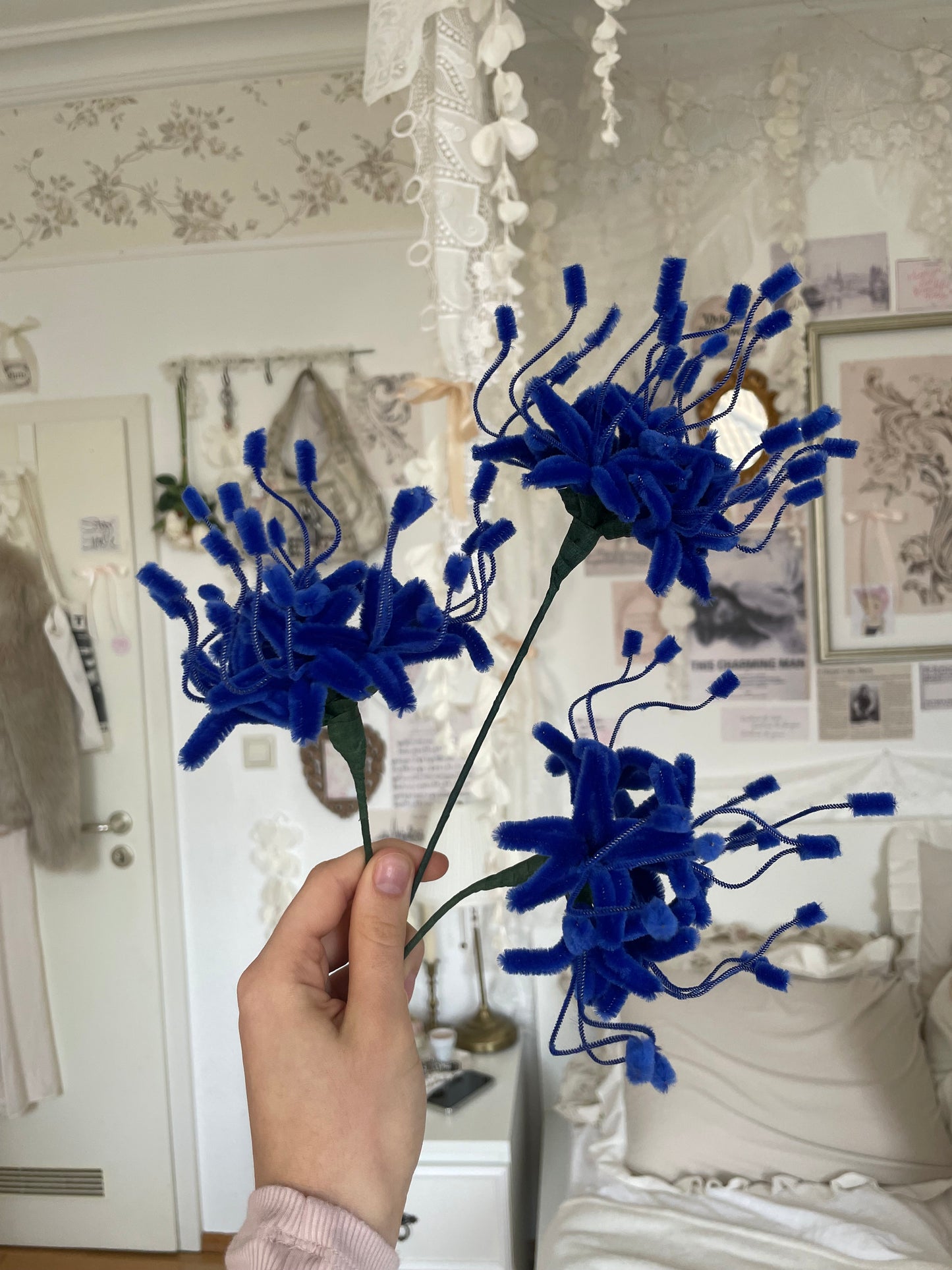 Blue Spider Lilies