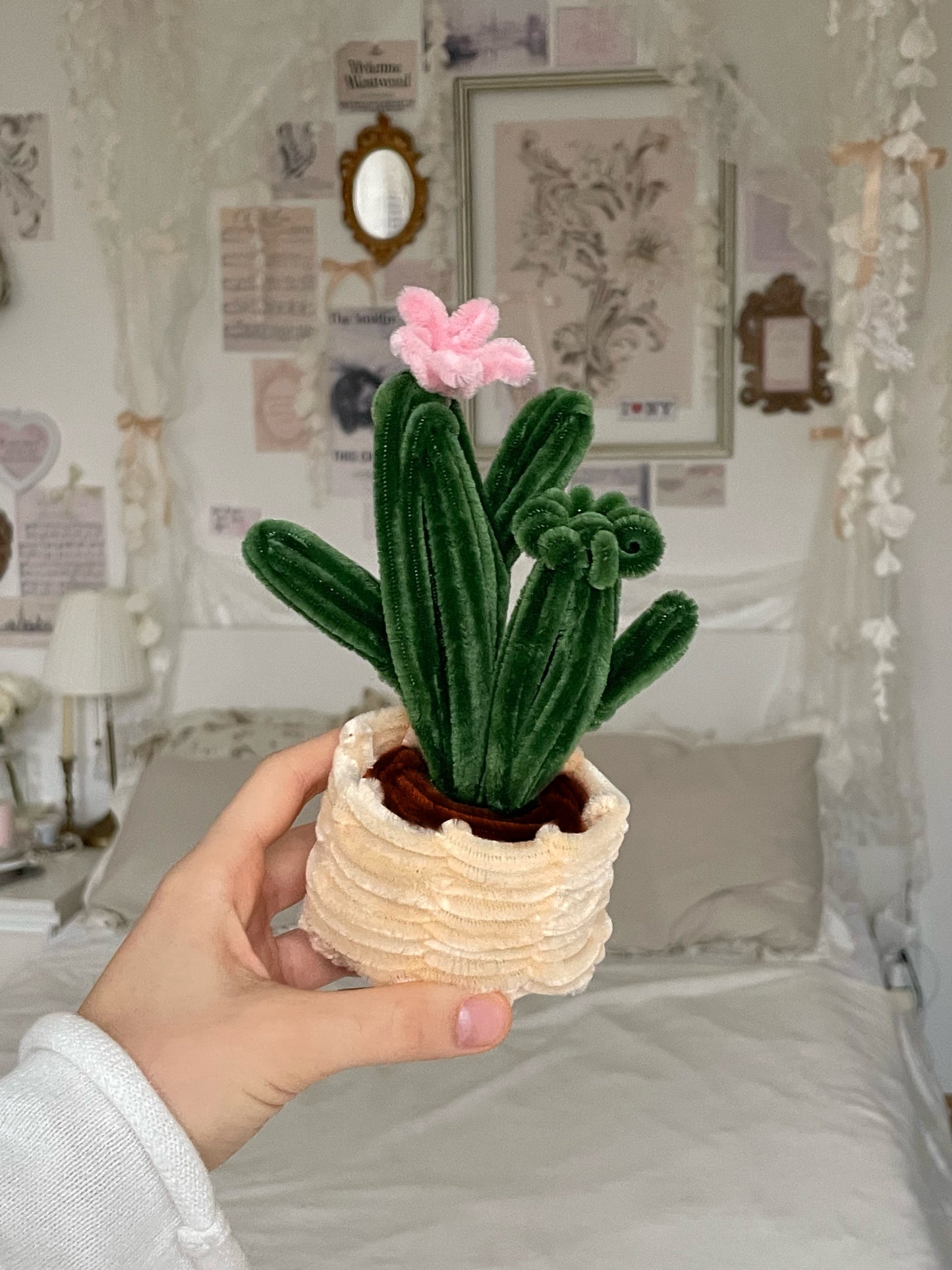 Cactus