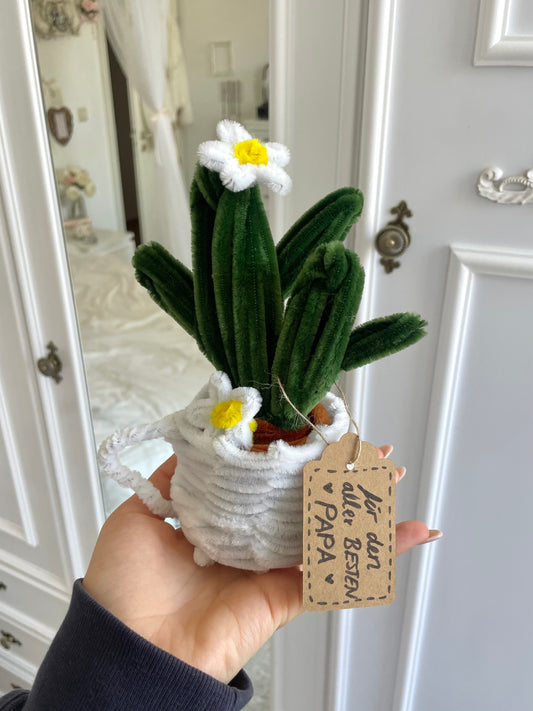 Cactus Cup