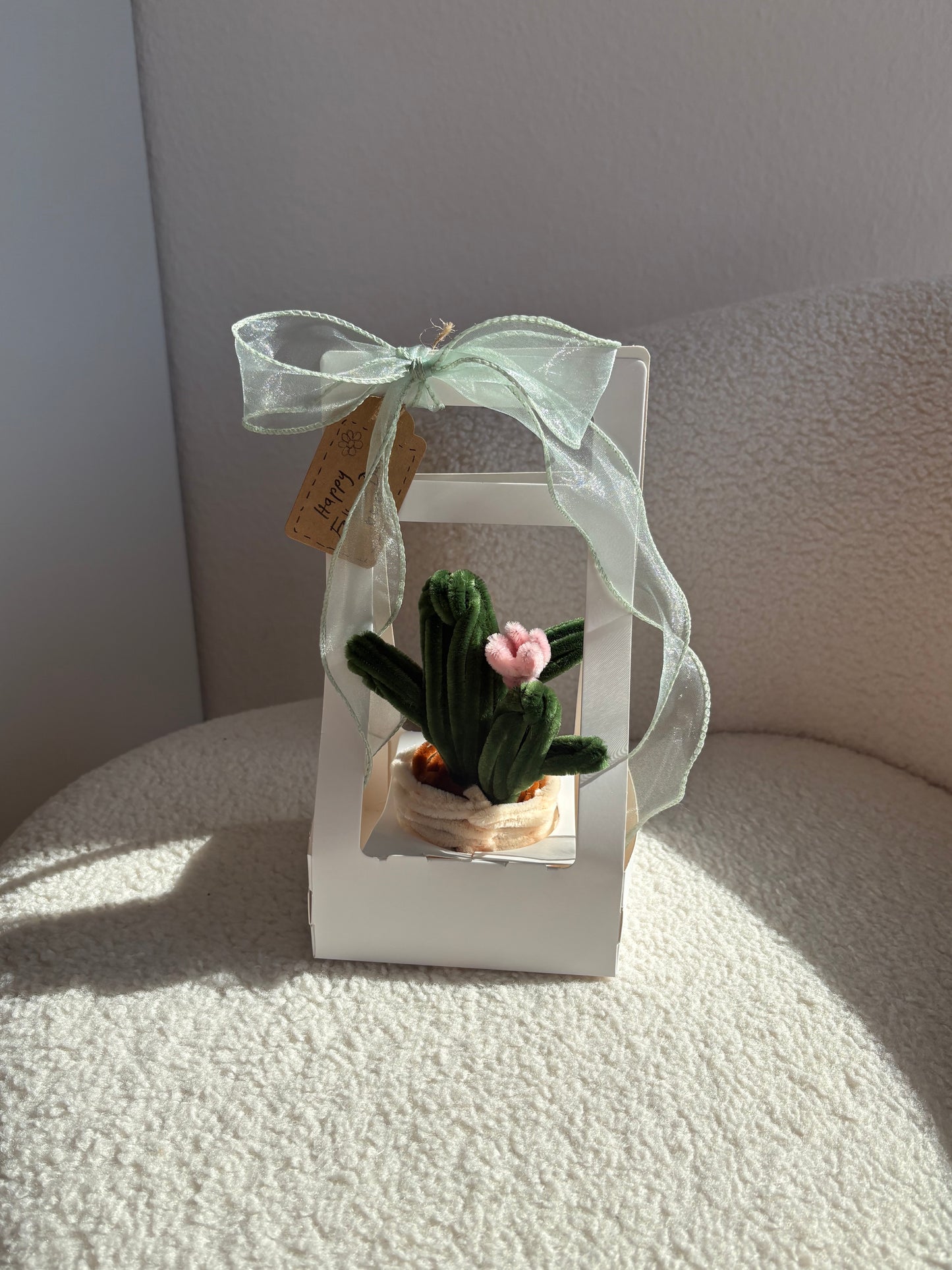 Father’s Day Cactus
