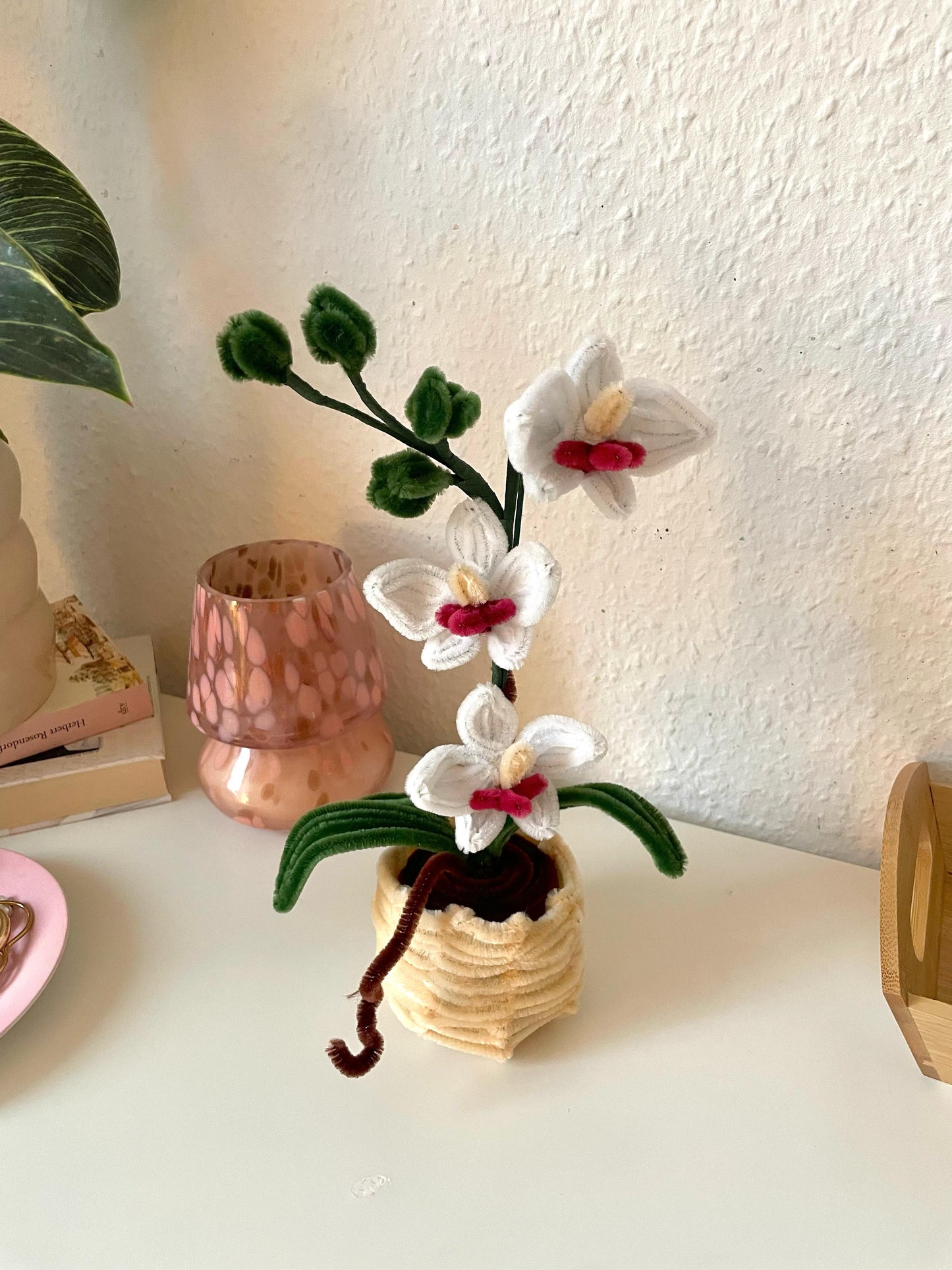 Orchid